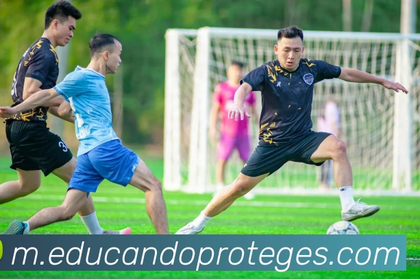 奖项证书