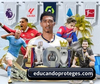 开云kaiyun网页版 APP